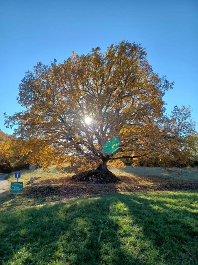 Les Glycines, Charmant Studio Au Calme Dans Batisse De Maitre Proche Du Centre Ville Parking Gratuit Digne-les-Bains ภายนอก รูปภาพ