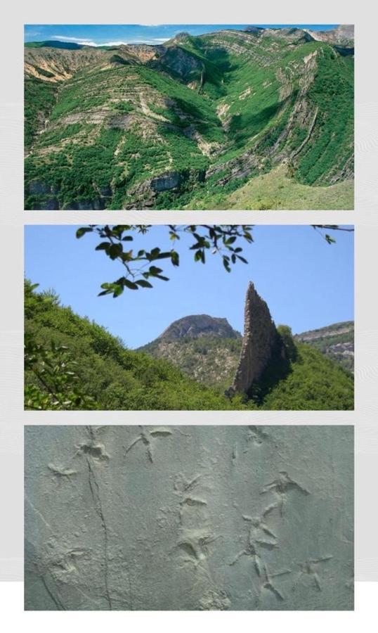 Les Glycines, Charmant Studio Au Calme Dans Batisse De Maitre Proche Du Centre Ville Parking Gratuit Digne-les-Bains ภายนอก รูปภาพ