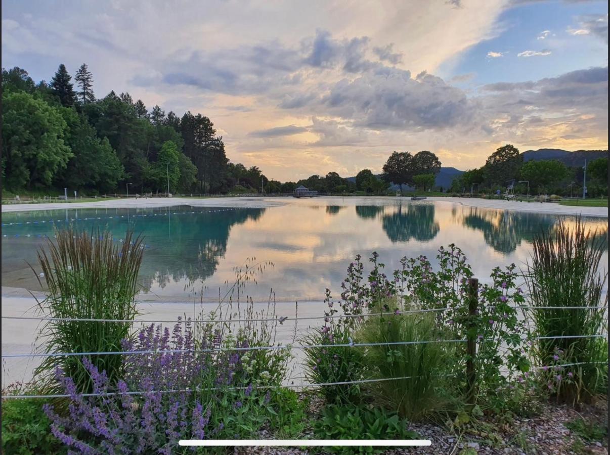 Les Glycines, Charmant Studio Au Calme Dans Batisse De Maitre Proche Du Centre Ville Parking Gratuit Digne-les-Bains ภายนอก รูปภาพ